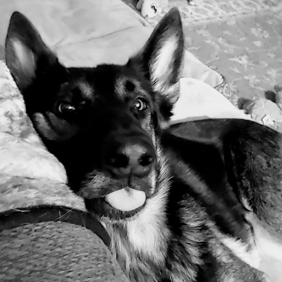 Like To Be Notified When I Go Live 🥳🫶🏻❤️ - Picture 7 of 9